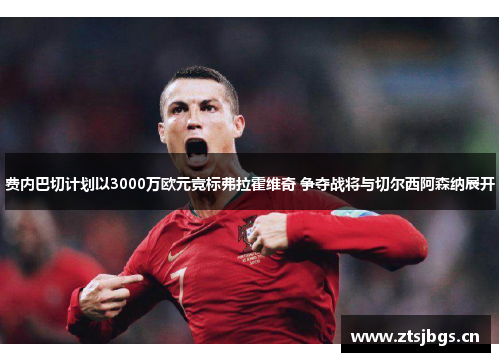 费内巴切计划以3000万欧元竞标弗拉霍维奇 争夺战将与切尔西阿森纳展开